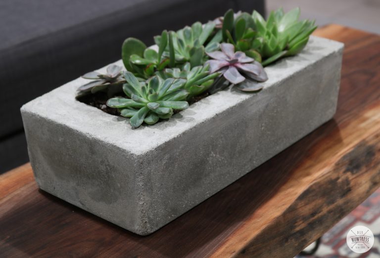 DIY Easy Concrete Planter
