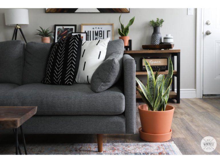 Rental Refresh: Small Apartment Living Room Makeover